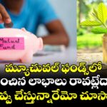 మ్యూచువల్ ఫండ్స్‌లో ఆశించిన లాభాలు రావట్లేదా..? ఈ తప్పు చేస్తున్నారేమో చూస్కోండి