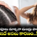 ఎన్ని షాంపూలు మార్చినా చుండ్రు పొవట్లేదా...? ఇదే అసలు కారణం...!