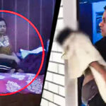 రక్తపు మడుగులో డాక్టర్, 8 ఏళ్ల కొడుకు.. మృతదేహాల పక్కనే ఫోన్ స్క్రోల్ చేస్తూ కనిపించిన భార్య!