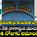 సీఎం రేవంత్ పై అనుచిత వ్యాఖ్యలు: వైసీపీ నేత నాగార్జున యాదవ్‌కు 14 రోజుకు రిమాండ్