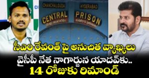 సీఎం రేవంత్ పై అనుచిత వ్యాఖ్యలు: వైసీపీ నేత నాగార్జున యాదవ్‌కు 14 రోజుకు రిమాండ్