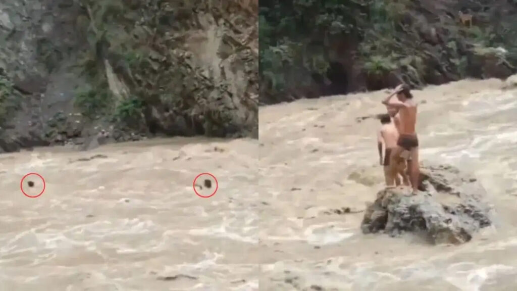 Viral Video: ఉప్పొంగుతున్న నదిలోకి దూకిన యువకులు.. చూస్తేనే గుండె ఆగిపోతుంది!